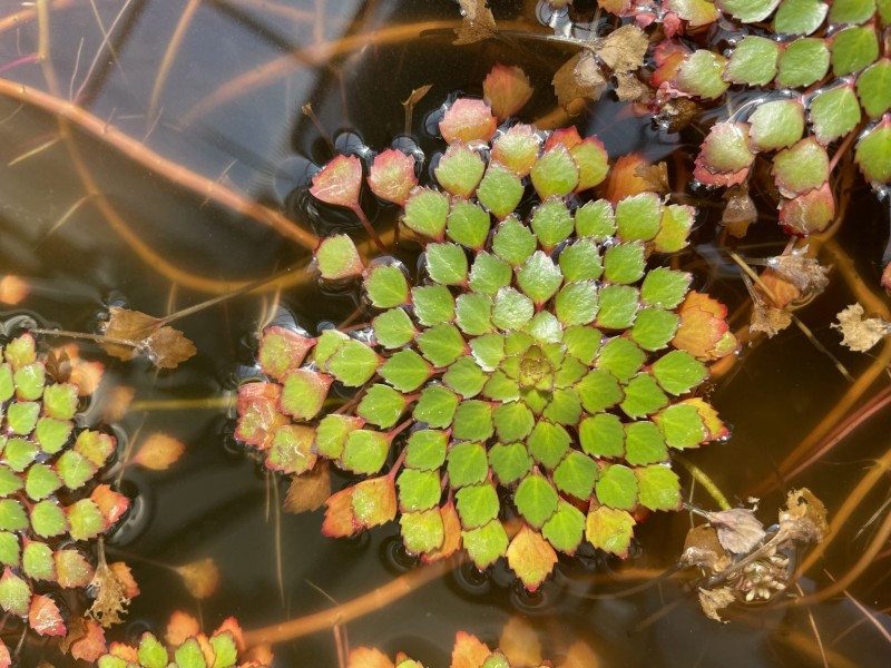 C59BBED7-C0EB-4AC5-A810-BF74D8843D5F