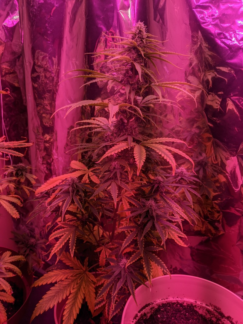 PXL_20220601_002823063