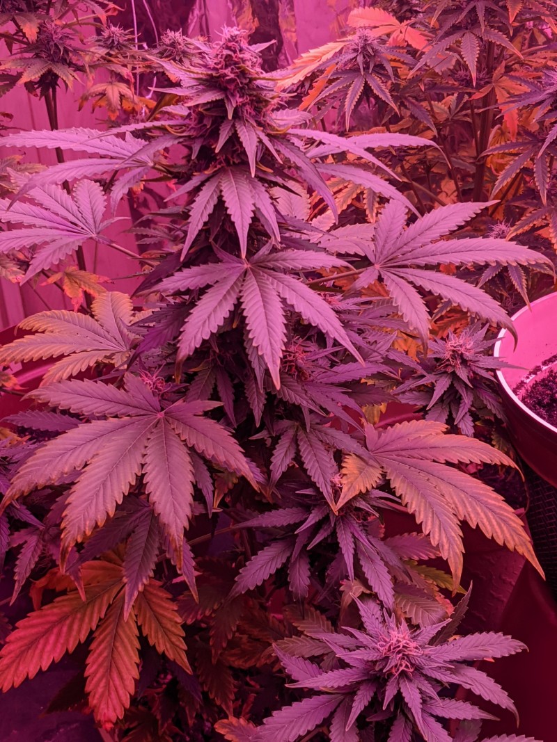 PXL_20220601_002850438