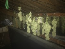 0164E2F0-6992-45F9-AD2C-59C9DA9ECA90