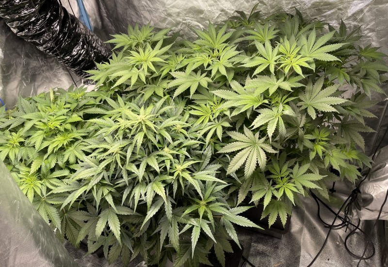 43A59AFB-40D4-41E1-9F8E-B5774CA77F9E