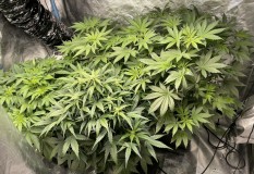 43A59AFB-40D4-41E1-9F8E-B5774CA77F9E