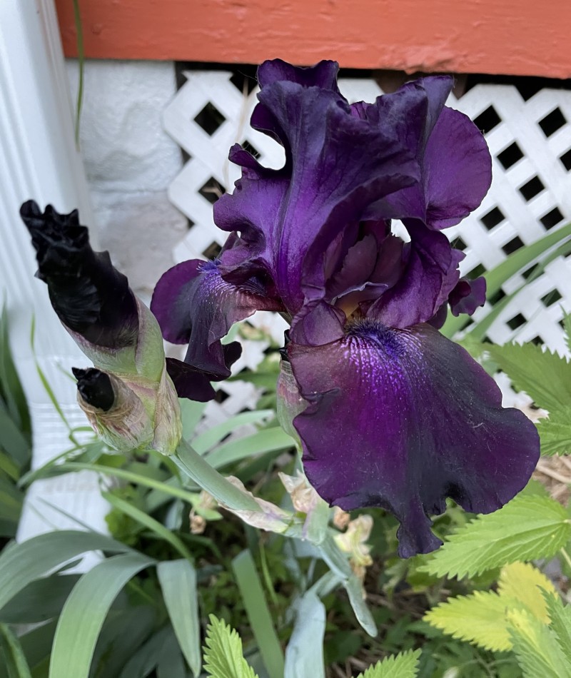 FA4723F3-798D-4A86-8421-C626F7C16410