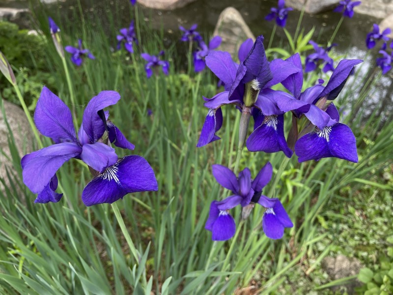 00DC688E-E780-46DB-A36F-EF99A8D17E2F