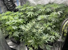 C13AB70B-A3FE-495B-95D8-1B3C5415C33D