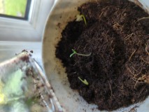 16552290268299177203281878411704