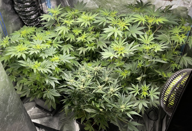 8D74E426-EFB0-4A81-A5F2-A87E762E58DF