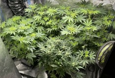 8D74E426-EFB0-4A81-A5F2-A87E762E58DF