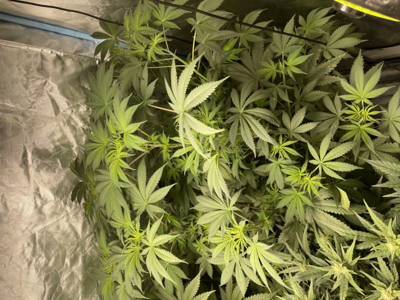 558C2E3C-59C8-429E-AD98-57AEB7441713