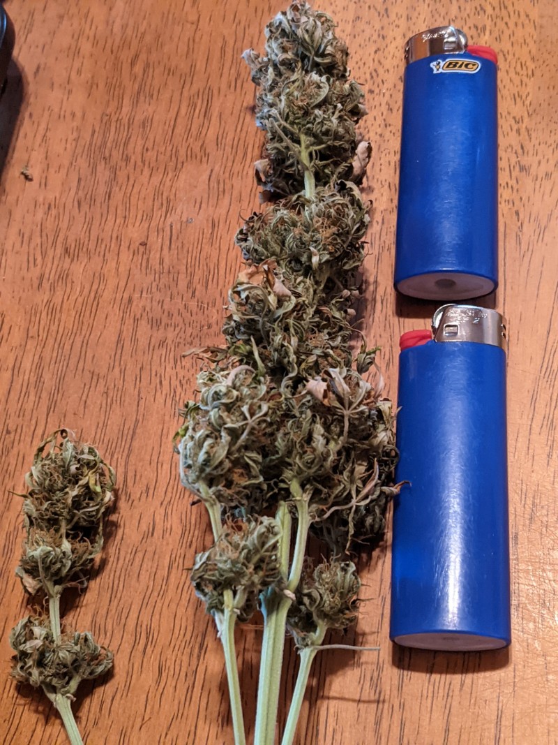 PXL_20220615_223759708