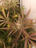 IMG_20220616_195813