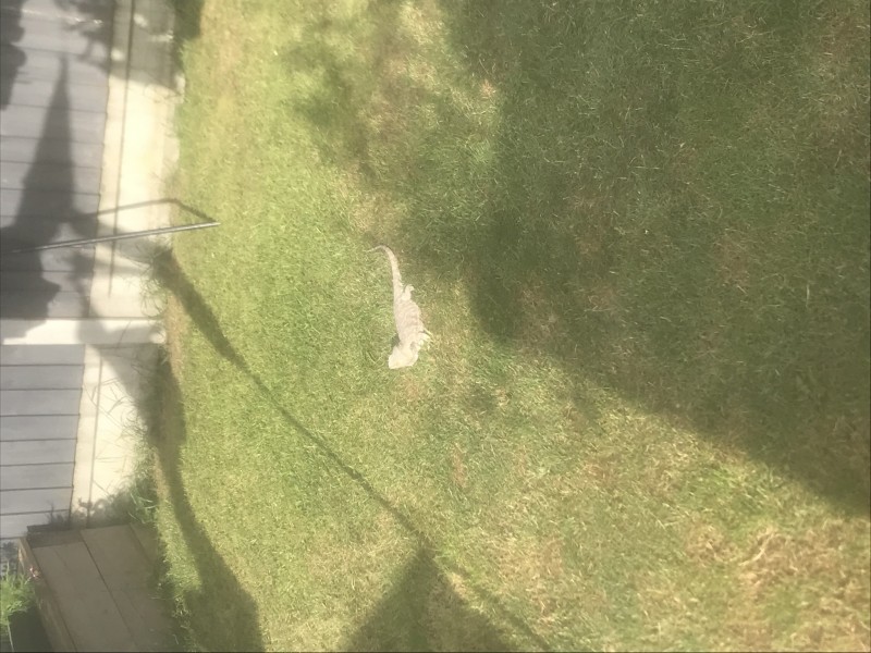 8E7ED853-F38A-445B-8D56-CF156B0E0725