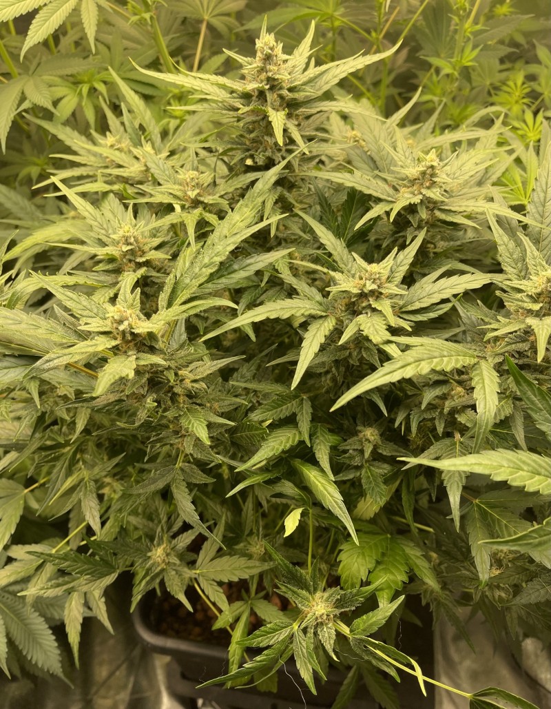 B0B157C4-92D1-4F05-9228-F8E7619C6672