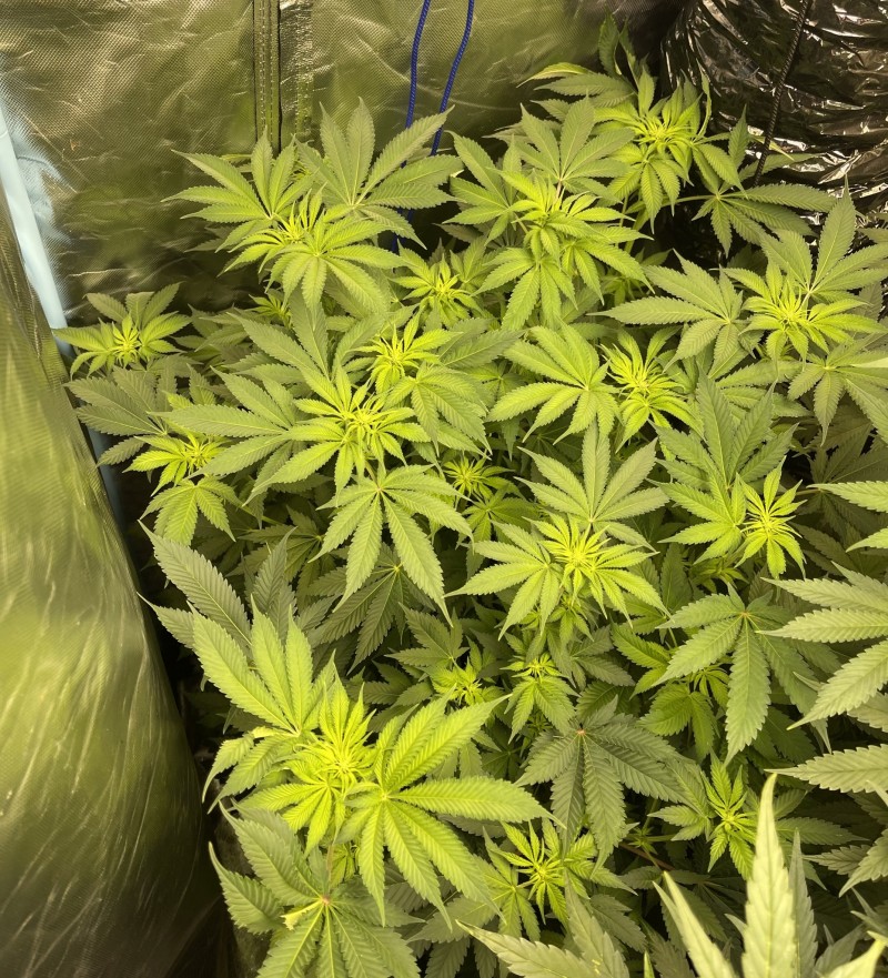 499AE079-BF50-4C2C-B058-58B905D000D6