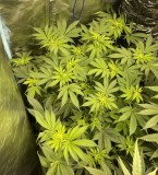 499AE079-BF50-4C2C-B058-58B905D000D6