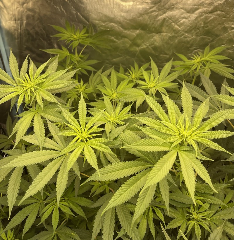 29801122-BD8E-4327-913B-E7FE382662B0