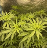 29801122-BD8E-4327-913B-E7FE382662B0