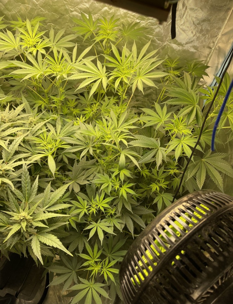 B8A907E7-8BB3-48D6-9178-9CFCCDE04CAB