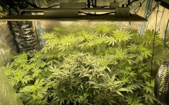 C6C11E75-2C93-43DD-A727-B47B73EFA2B8