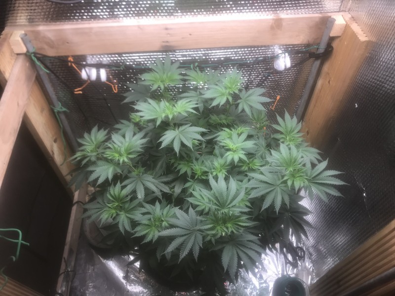 5DAEF94E-7C6A-4527-8532-2AE5E66A5CF7