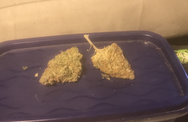 A52FB509-415D-4101-BF25-B797F3B9FB1D