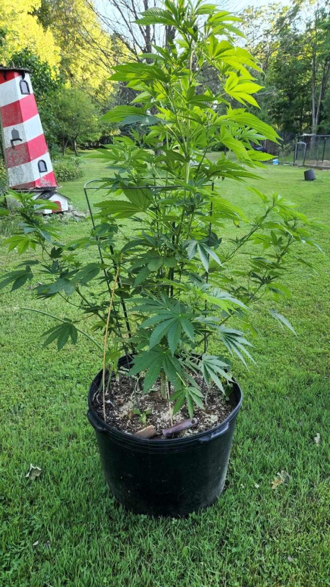 1655854537284868370717513013930