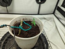 16560837541125725822641849826329