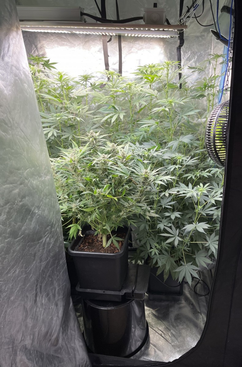 8151D2FD-E941-4C28-88E0-A2DA27EAE103