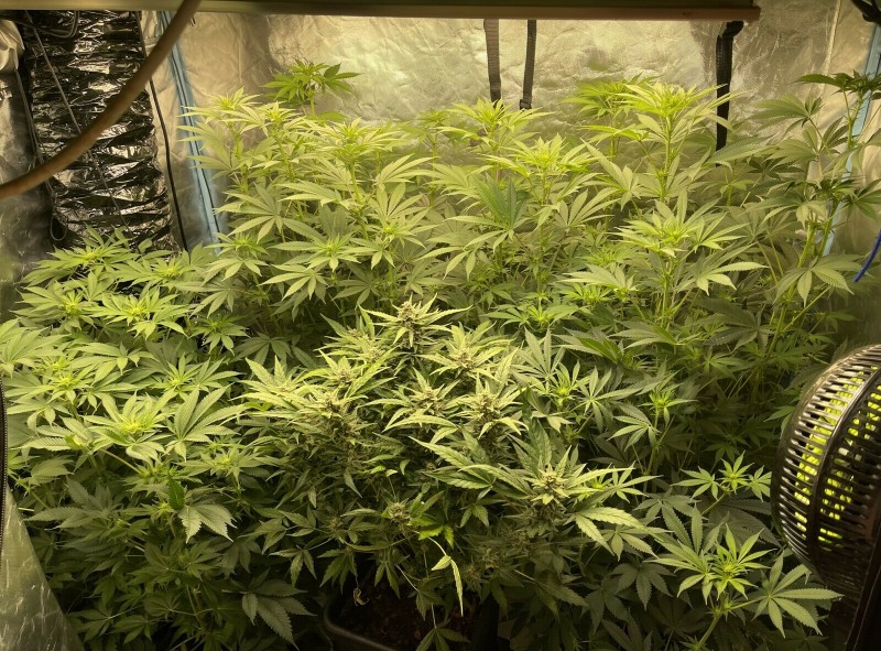 8340BD88-677C-4CD2-A0FB-E032A8B6D52A