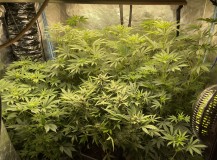 8340BD88-677C-4CD2-A0FB-E032A8B6D52A