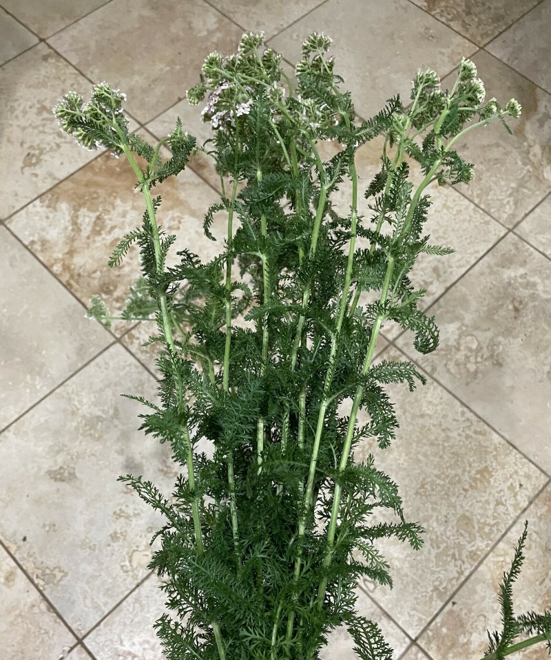 7A5D9D2F-78D0-46D1-BF7B-93B7FEAB62C7