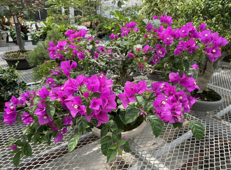 0704AA0C-42FB-4D52-85B8-0CF18D152673