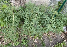 34417425-2BAE-434E-A236-2D7614DA14B3