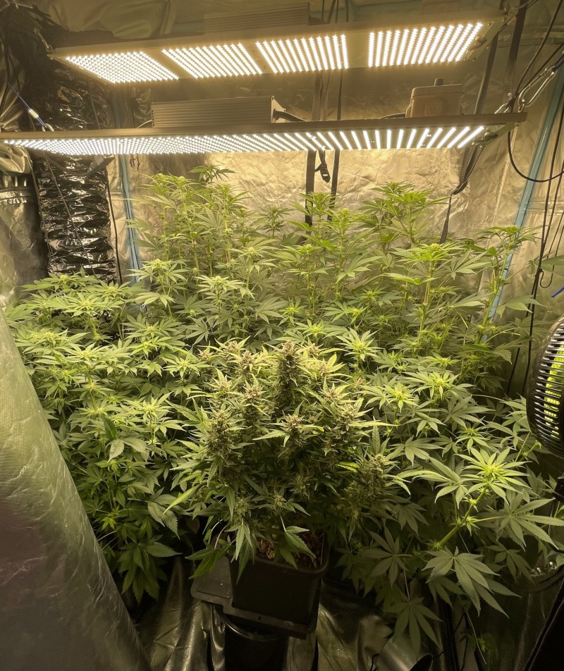 7D5D1D0E-13F0-4E70-8474-6210C8386B5B