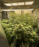 7D5D1D0E-13F0-4E70-8474-6210C8386B5B