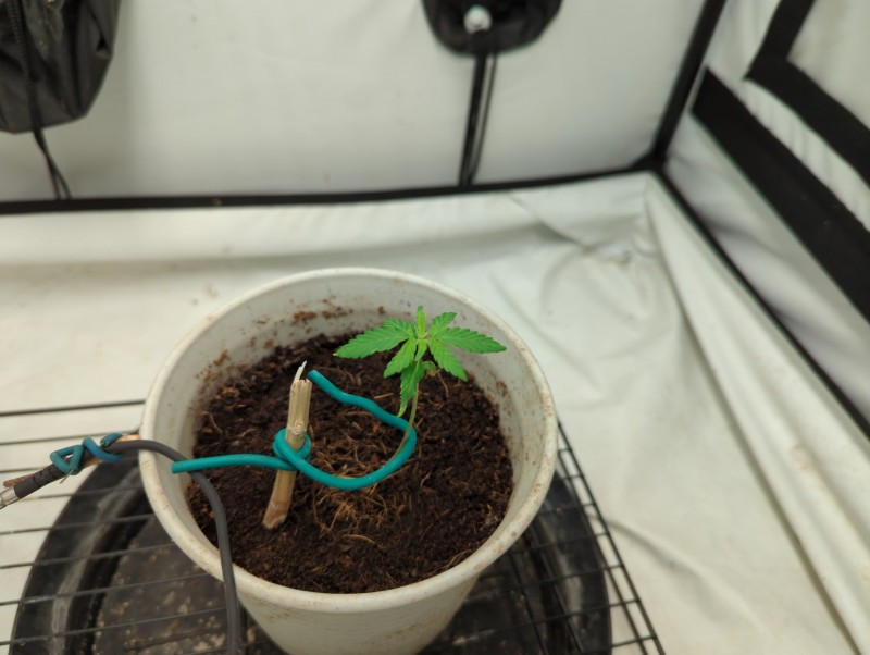 16565245463901487864771814270230