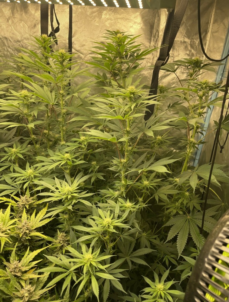 EFC97DD0-78E1-4972-8179-D013E1652CE0