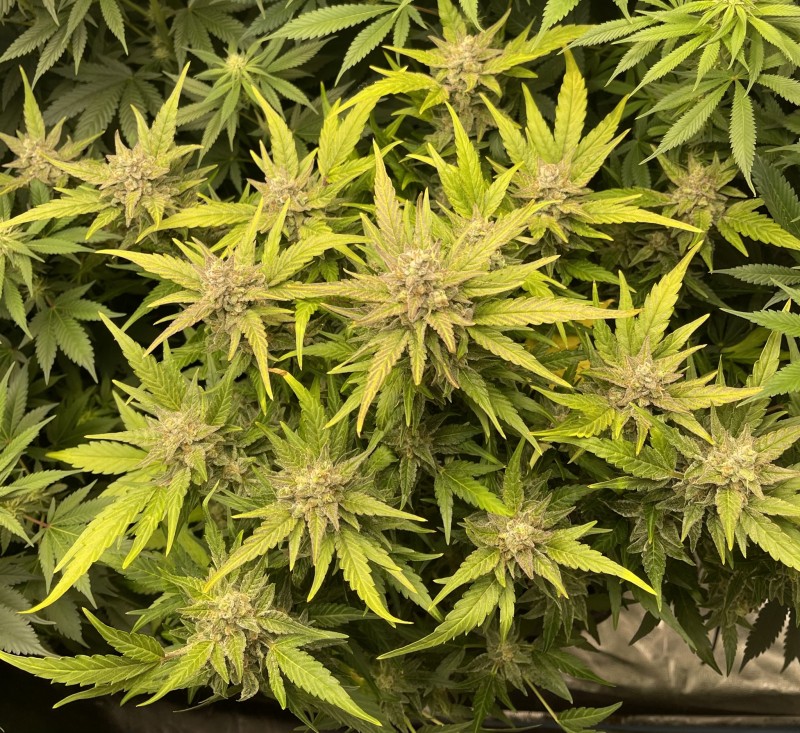 047BFD51-DF81-4266-958B-616D395E51B3