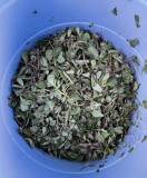 0233E2FD-AAD7-40A3-8BC8-D10C0BAC186C