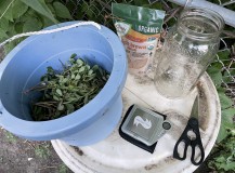 D849B6D5-87A9-4918-9A48-9556D4587B62