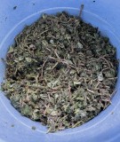 D6F149F1-E4EC-4B91-A29C-009A1BA43C2E