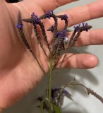 A679524E-D6D3-47CB-9C80-E6040E153136