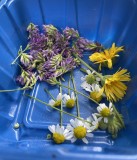 A1EE150C-6CB6-4F2E-B2FD-4C65B6AEB7F1