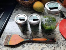 08B3B49F-A0D4-4394-B6DA-81C75F2821D7