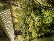 C3FC8649-7208-4197-B095-DE6C407E448E