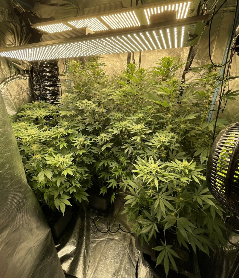 BB6D3D15-D1B0-4B2E-B04F-8A0FC9D41821