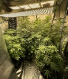 BB6D3D15-D1B0-4B2E-B04F-8A0FC9D41821