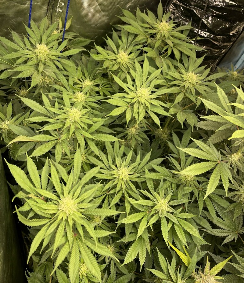 69221403-7E84-450C-84F1-71B317D11E02