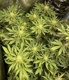 69221403-7E84-450C-84F1-71B317D11E02