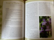 986C83DC-B3B2-4AFB-8A94-421F9FD0C238